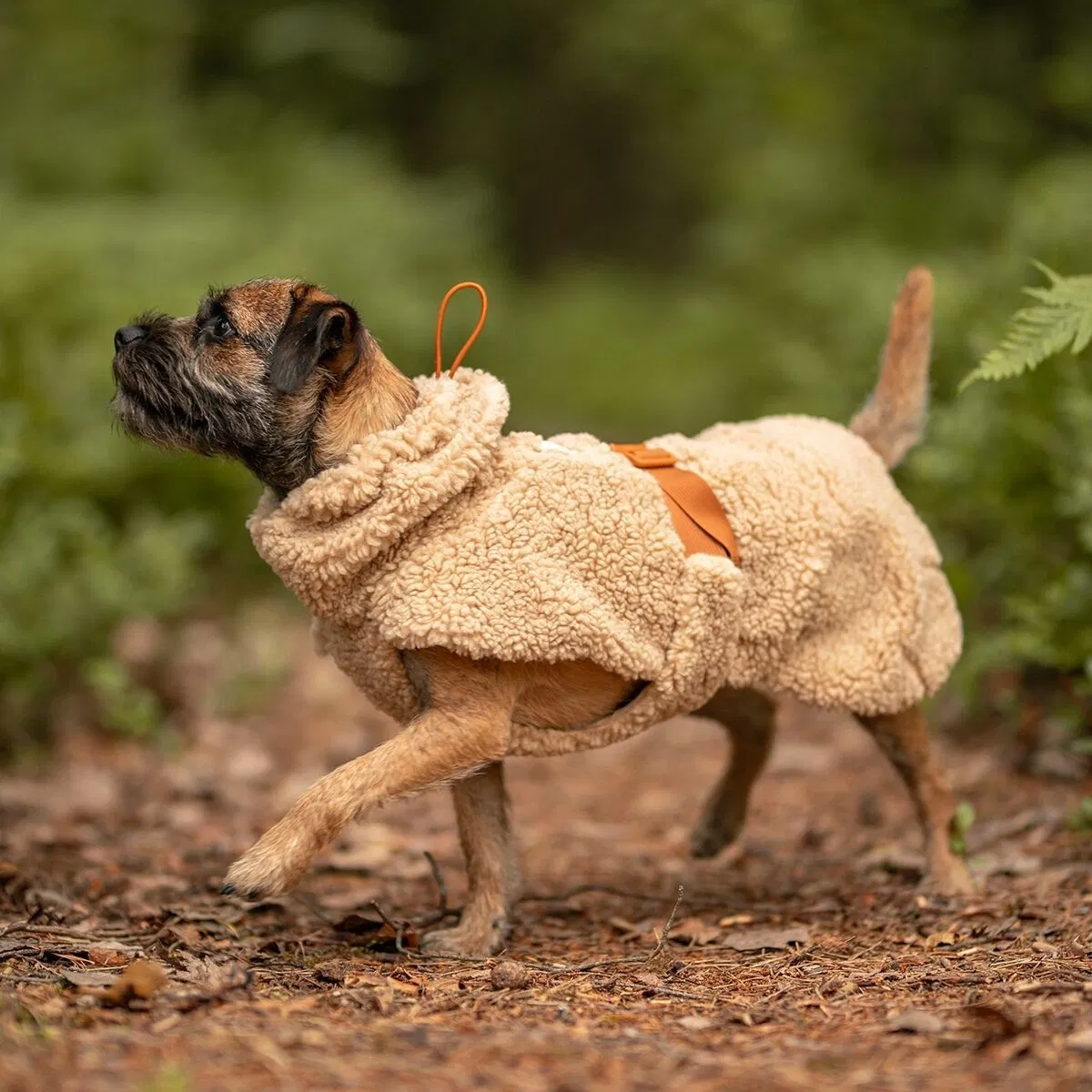 PAIKKA Sherpa koiran paita, taupe