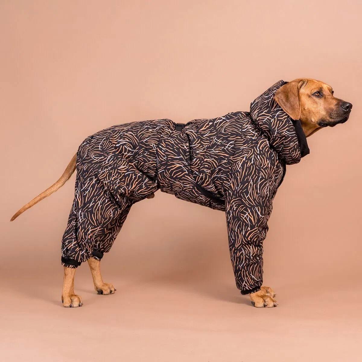 PAIKKA koiran toppahaalari Winter Suit, coal