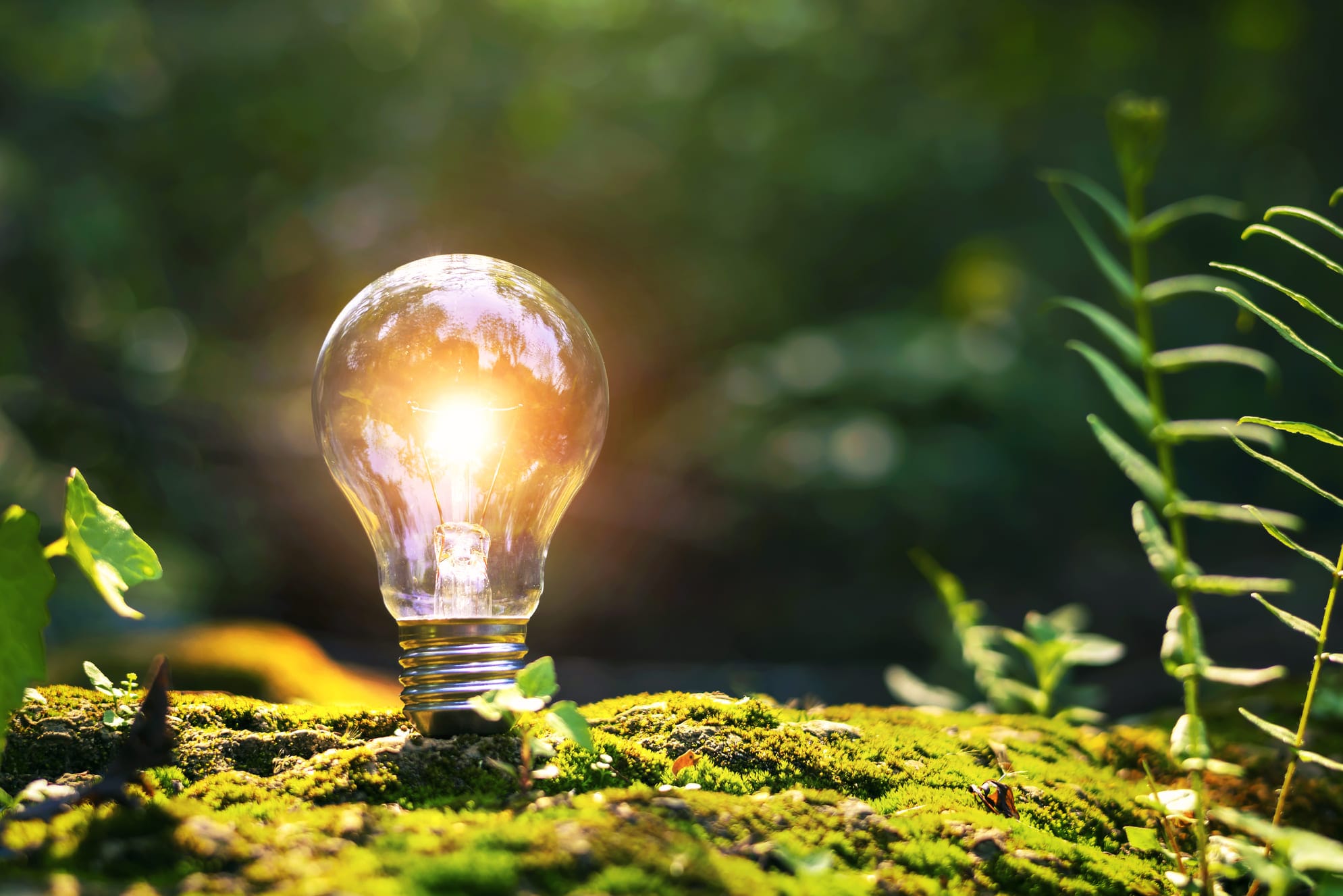 Vihreä Älyenergia tarjoaa 100% fossiilivapaata sähköä ympäristöystävälliseen kotiin