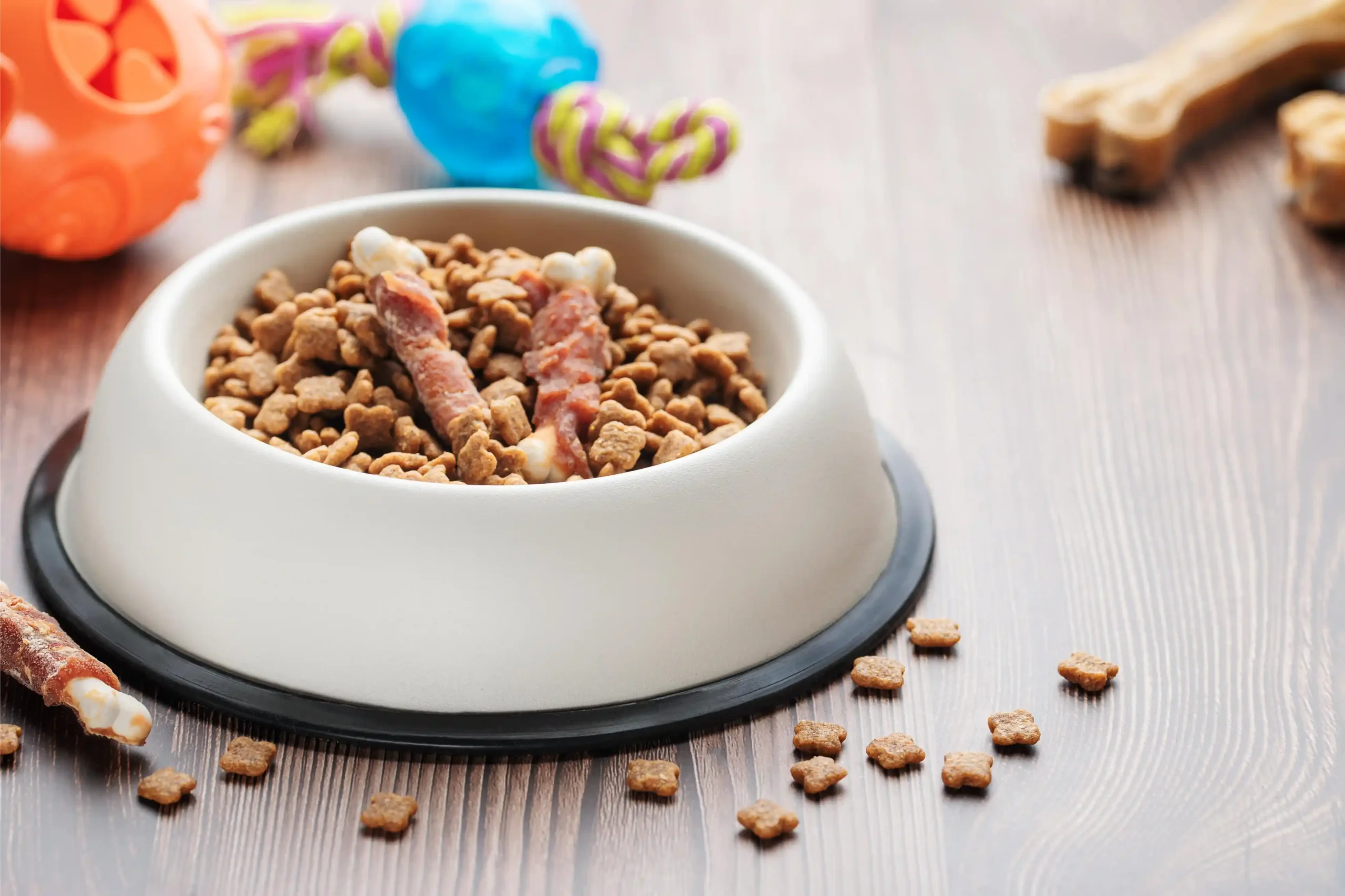 Koiranruokakuppi täynnä Eukanuba-nappuloita ja herkkuja.