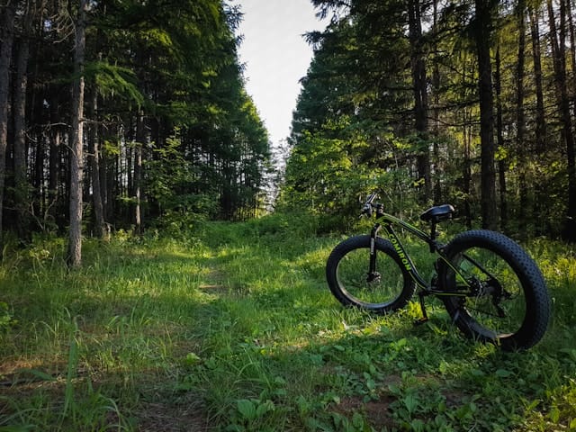 Paras sähköfatbike