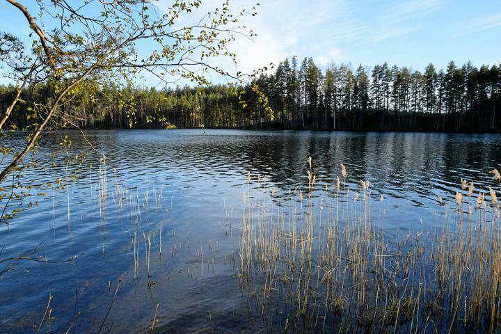 Sähkösopimus loppi