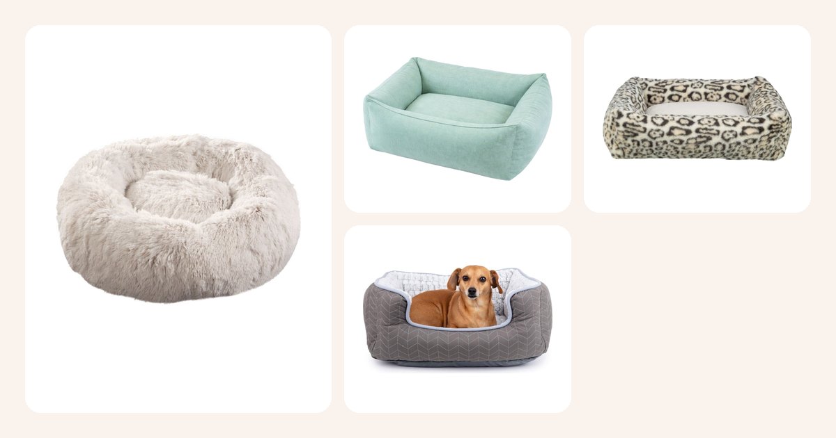 Alle 50 €: Koiran pörröpeti Little&Bigger Fluffy, PetEasy-koiranpeti, sininen, Trixie Leo -koiranpeti, kerma, Koiran peti Basic Comfy harmaa