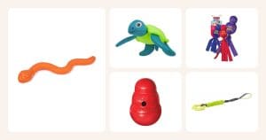Vertailun koiran lelut: Koiran lelu Little&Bigger TPR käärme, IcePeak kelluva koiranlelu kilpikonna, Kong Wubba koiran lelu, KONG Wobbler koiran lelu, Trixie Bungee Tugger lelu renkaalla ym.