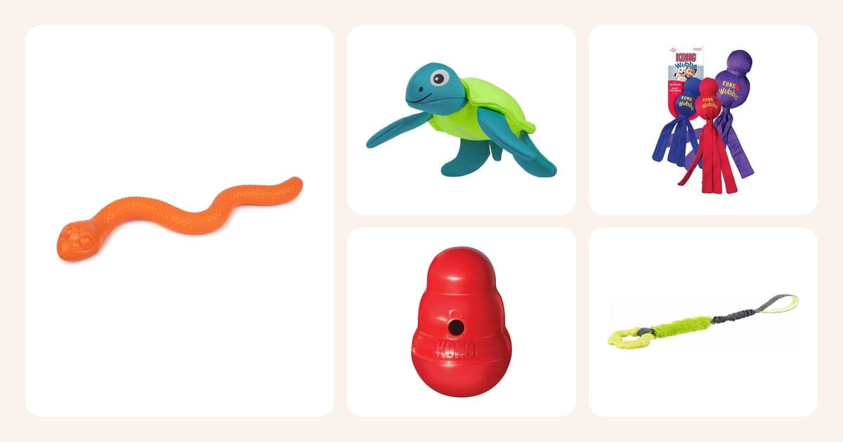 Vertailun koiran lelut: Koiran lelu Little&Bigger TPR käärme, IcePeak kelluva koiranlelu kilpikonna, Kong Wubba koiran lelu, KONG Wobbler koiran lelu, Trixie Bungee Tugger lelu renkaalla ym.